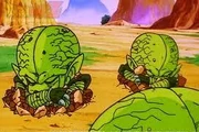 Saibaimans sortint de terra