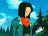 L'A-17 a la saga d'en Buu
