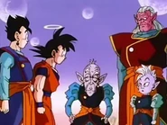 Vell Kaioshin, Kibito, Kaioshin, Goku i Gohan
