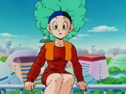 Bulma 1456