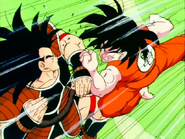 Raditz vs Goku