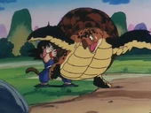 En Goku es troba amb la tortuga