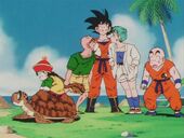 Gohan sobre Tortuga