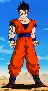 En Son Gohan d'adult en l'estat místic