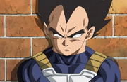 Vegeta Ova