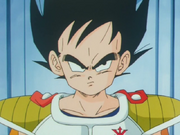 Vegeta petit