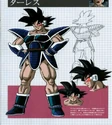 Concepte Turles