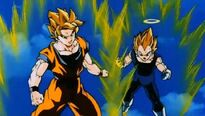 Goku i Vegeta SG