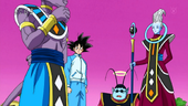 Bills, Whis, Goku i Kaito