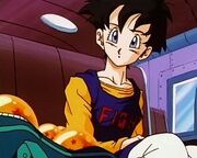 Videl sagabuu