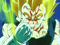 Vegeta ferit