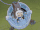B-Da Capsule