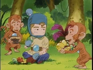 Tarzan Baku IV (14).jpg (173 KB)