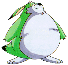 Marooi