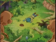 Tarzan Baku IV (12).jpg (143 KB)