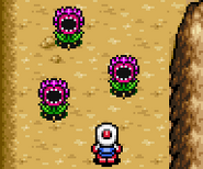 Mad Flowers in a circle formation in Bomberman Tournament