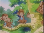 Tarzan Baku IV (13).jpg (141 KB)