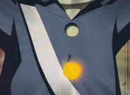 Kobon's coat button