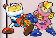 White Bomber and Pretty Bomber in Super Bomberman 3 guide