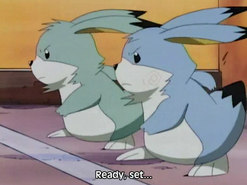 Pui and Rui about to race