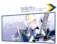 Silva banner