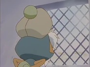 Elder Bomber (3).jpg (105 KB)