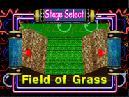 Field of Grass