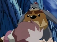 Bear Bomber2.png (146 KB) Shout plays dead.