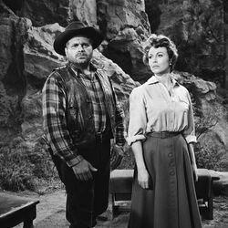 Bonanza-tv-04