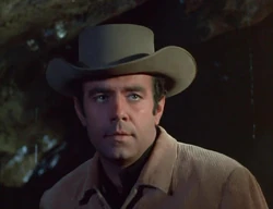 The Search | Bonanza Wiki | Fandom 