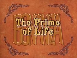 PrimeOfLife12