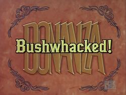 Bushwhacked000