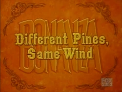 Differentpinesamewind000jpg