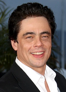 Benicio Del Toro