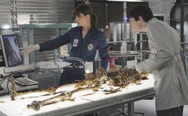 6x07