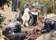 Bones-S12 Ep12 - 2.jpg (112 KB)