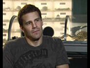 David Boreanaz on directing