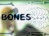 Bones Episode List