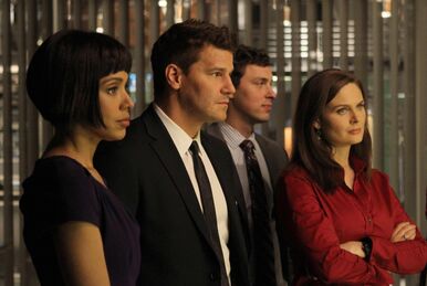  Bones David Boreanaz as Agent Booth and Tamara Taylor as Dr. Camille  Saroyan Looking at David Boreanaz as Agent Booth Talking Inside Museum 8 x  10 Photo : Home & Kitchen