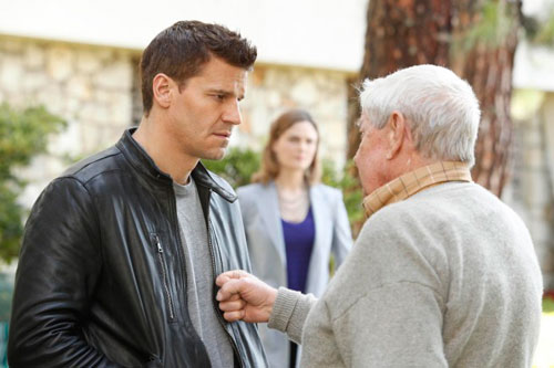  Bones David Boreanaz as Agent Booth and Tamara Taylor as Dr. Camille  Saroyan Looking at David Boreanaz as Agent Booth Talking Inside Museum 8 x  10 Photo : Home & Kitchen