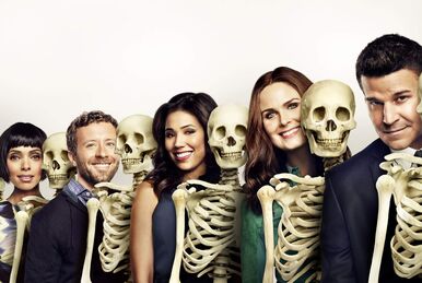 Season 10, Bones Wiki