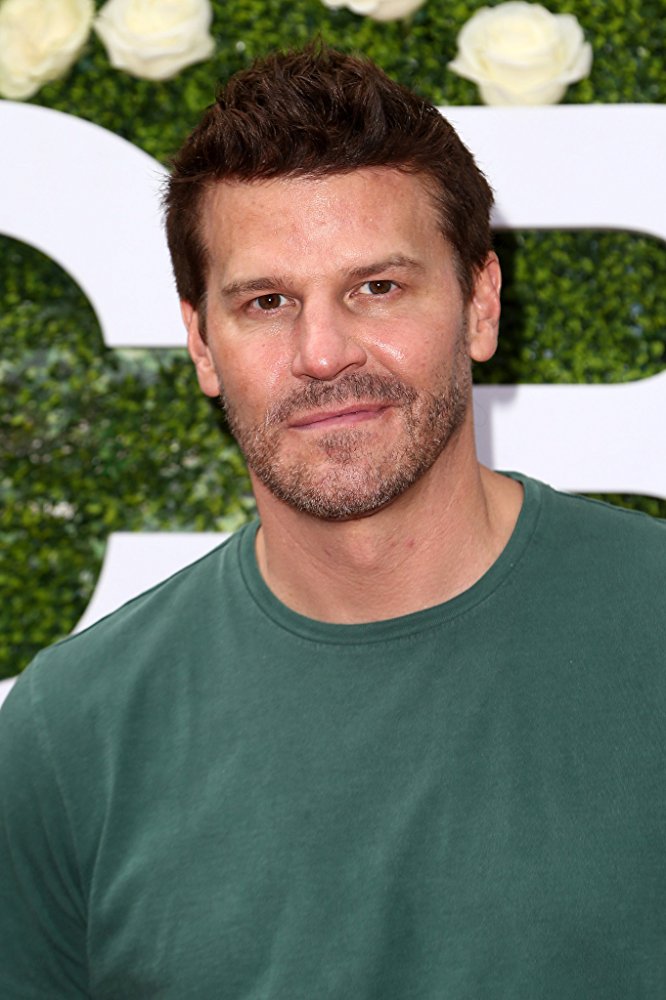 David Boreanaz Bones   Latest