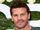 David Boreanaz