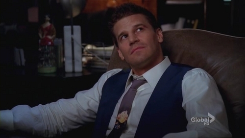 Seeley Booth, Bones Wiki