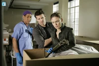 1x19 3.jpg (621 kio)