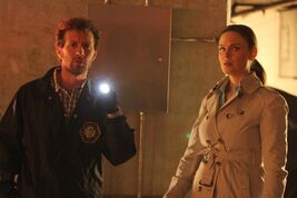 8x03
