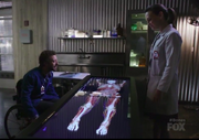 Anatomage Virtual Dissection Table