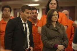Bones 7x7
