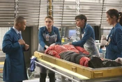 Bones