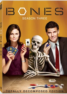 Bonesseason3r1artpic